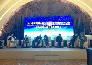 中冶賽迪發布美麗鄉村建設新產品