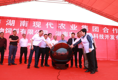 東安縣與湖南現(xiàn)代農(nóng)業(yè)集團合作項目開工 總投資近2.6億元