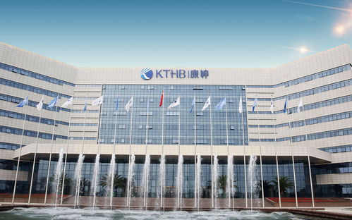 康婷 以科研破局構建創新產品體系